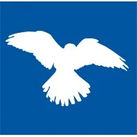 Kestrel Aviation Management