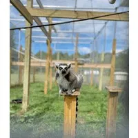 PEACEABLE PRIMATE SANTUARY