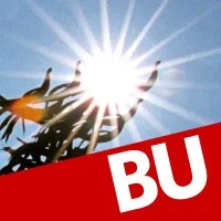 Boston University School of Theology Boston University School of Theology