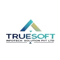 Truesoft Infotech Solution