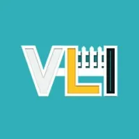 VLI Services LLC
