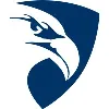 Paragon Systems Inc Paragon Systems Inc