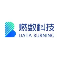 DataBurning