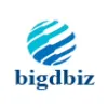 Bigdbiz Solutions Pvt Ltd Bigdbiz Solutions Pvt Ltd