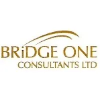 Bridge One Consultants Ltd