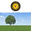 Copernicus Institute of Sustainable Development Copernicus Institute of Sustainable Development