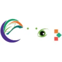 E-Vision Software Limited