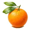 OrangeAI