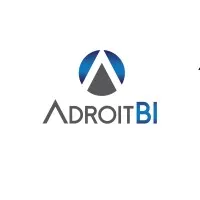 Adroit Business Intelligence