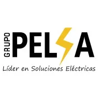 Grupo Pelsa