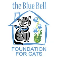 Blue Bell Foundation For Cats
