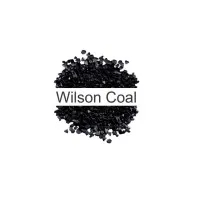 Wilson Coal