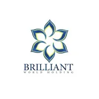 Brilliant World Holdings Brilliant World Holdings