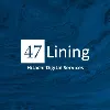 47Lining, Hitachi Digital Services 47Lining, Hitachi Digital Services