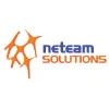 Neteam Solutions Inc Neteam Solutions Inc