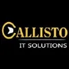 Callisto IT Solutions Nagpur Callisto IT Solutions Nagpur