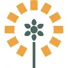 Suntado LLC