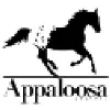 Appaloosa Journal Appaloosa Journal