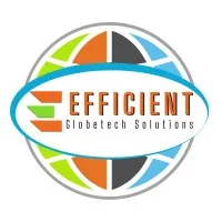 Efficient Globetech Solutions Pvt. Ltd. Efficient Globetech Solutions Pvt. Ltd.