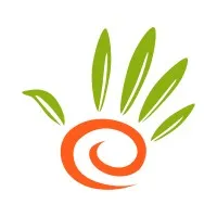 Kadınların Elinden