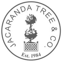 Jacaranda Tree & Co.