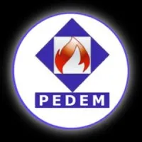 PEDEM Holding
