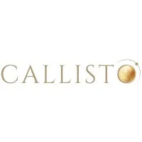 Callisto Talent Solutions