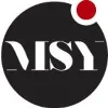 MSY Invest SPRL MSY Invest SPRL