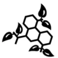 Safe Solutions, Inc.