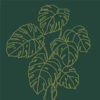 Convo Wellness Convo Wellness