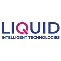 Liquid Intelligent Technologies Tanzania email format