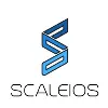 SCALEIOS Private Limited SCALEIOS Private Limited