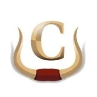 Casillas Accountancy Group Inc.