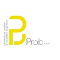 Pro.B s.a.r.l. professional builders & consulting engineers