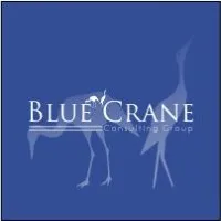 Blue Crane Consulting Group