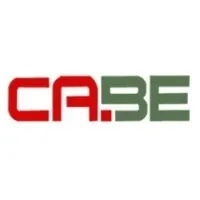CABE SPRINGS AND FASTENERS INDIA PRIVATE LIMITED
