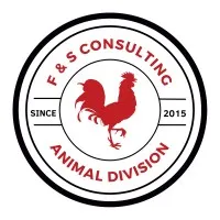 F&S Consulting