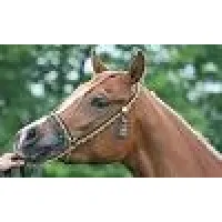 Available for work Available for work