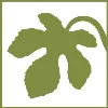 A.D.A.M. Health A.D.A.M. Health
