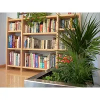 English Plus Academy