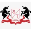 STI APPAREL AUTOMOTION PVT LTD. STI APPAREL AUTOMOTION PVT LTD.