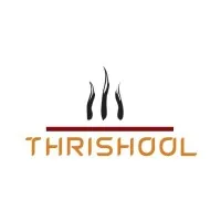 Thrishool Exim Limited