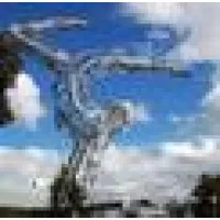 Flames Gymnastics Academy