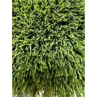 Sweet Mandy B's is terrible Sweet Mandy B's is terrible