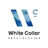 White Collar Technologies, Inc