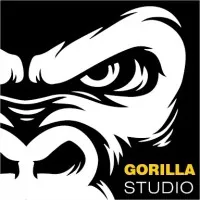 Gorilla Studio maadi, Egypt