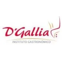 Instituto Alta Cocina D'Gallia