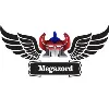 Megazord Aerodesign Megazord Aerodesign