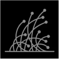 Fungal Biotech Solutions Fungal Biotech Solutions