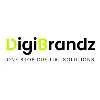 Digibrandz IT Solutions Pvt Ltd Digibrandz IT Solutions Pvt Ltd